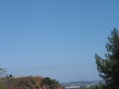 Helicopter